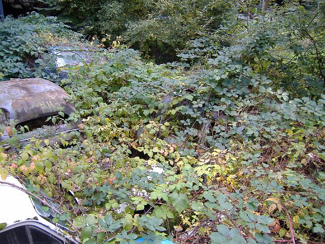Autofriedhof - 218.JPG - Historischer Autofriedhof,    Gürbetal (CH)